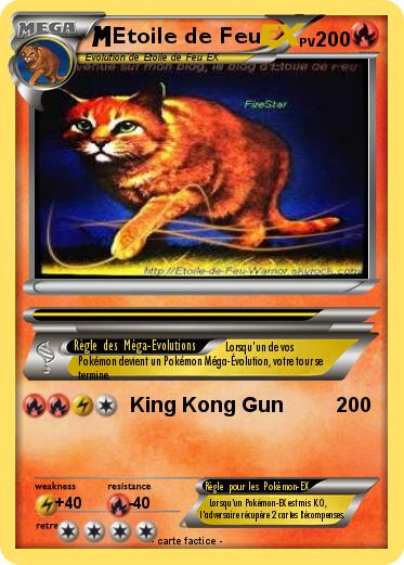 Pokemon Etoile de Feu