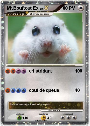 Pokemon Mr.Bouftout Ex