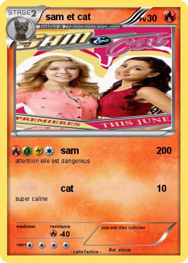 Pokemon sam et cat