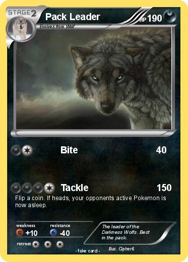 Pokemon Pack Leader