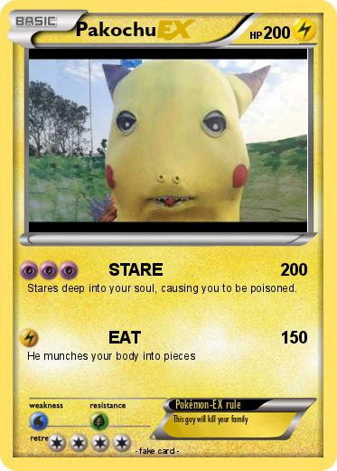 Pokemon Pakochu