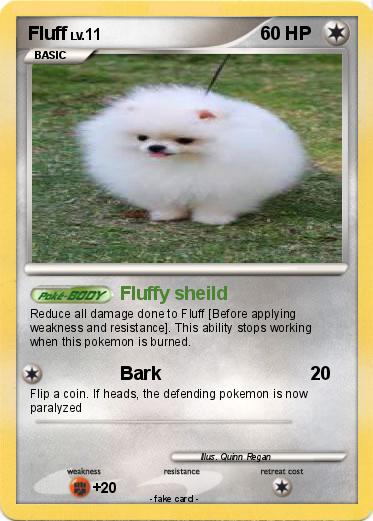 Pokemon Fluff