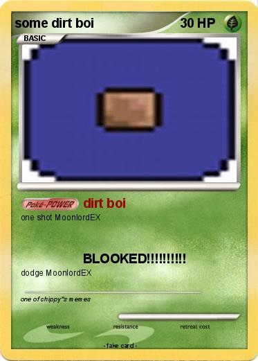 Pokemon some dirt boi