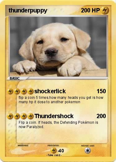 Pokemon thunderpuppy