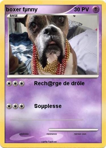 Pokemon boxer fµnny