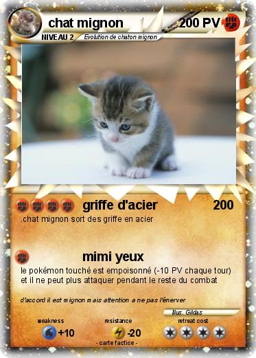 Pokemon chat mignon