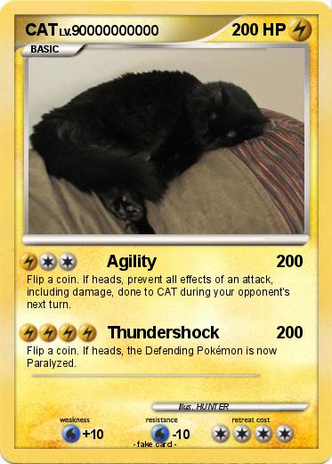 Pokemon CAT