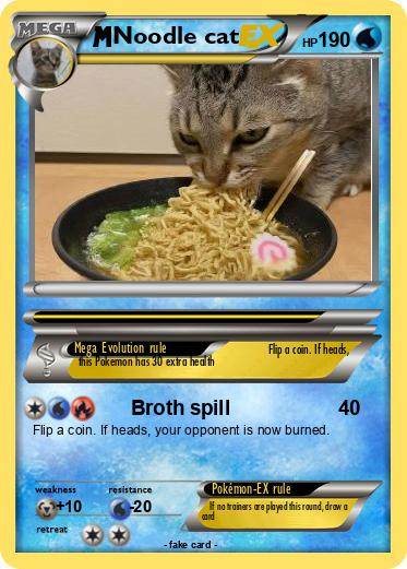 Pokemon Noodle cat