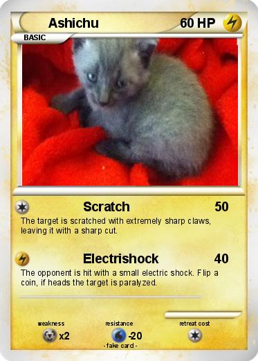 Pokemon Ashichu
