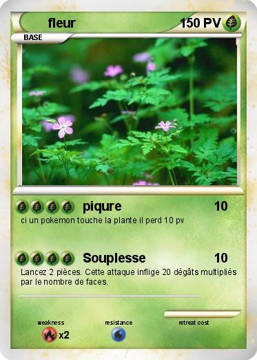 Pokemon fleur