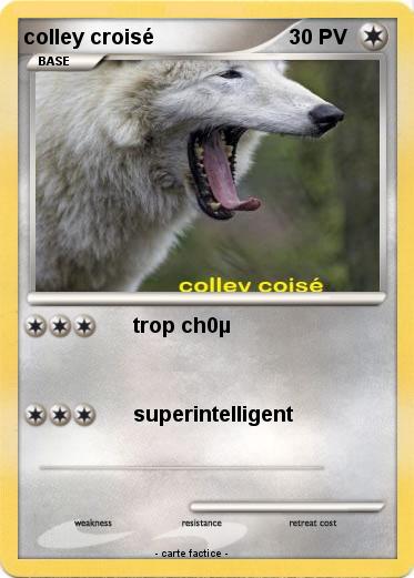 Pokemon colley croisé