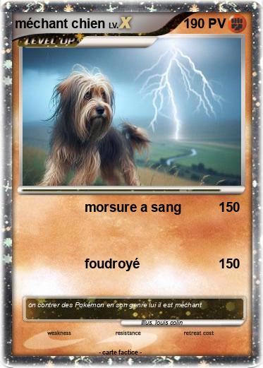 Pokemon méchant chien