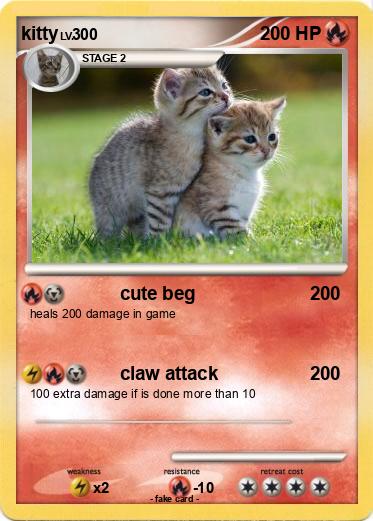 Pokemon kitty