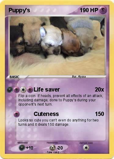 Pokemon Puppy's