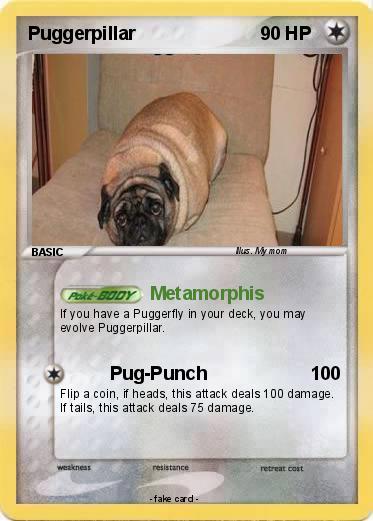 Pokemon Puggerpillar
