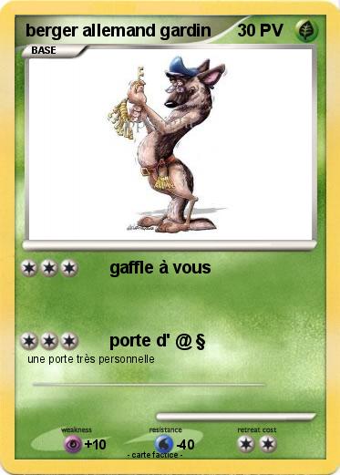 Pokemon berger allemand gardin