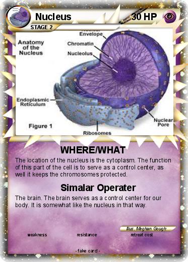 Pokemon Nucleus