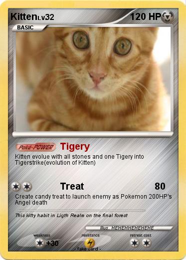 Pokemon Kitten