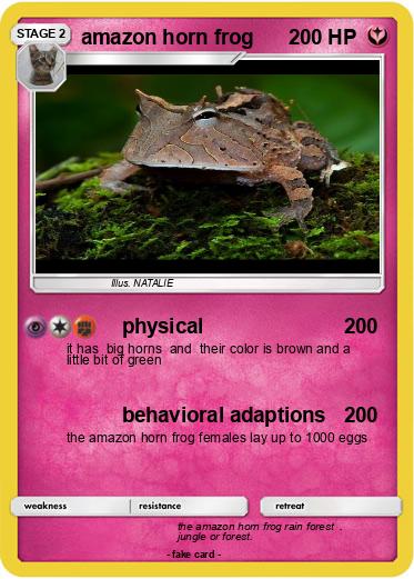 Pokemon amazon horn frog