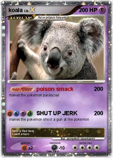Pokemon koala