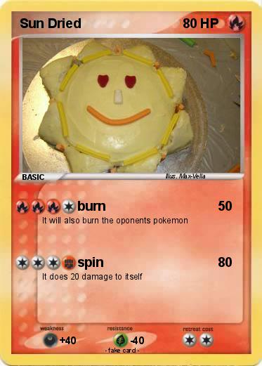 Pokemon Sun Dried