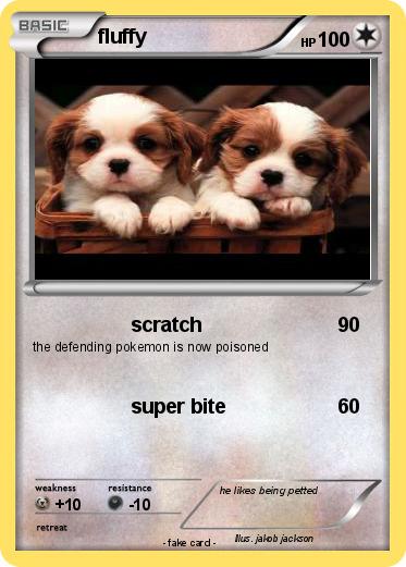Pokemon fluffy