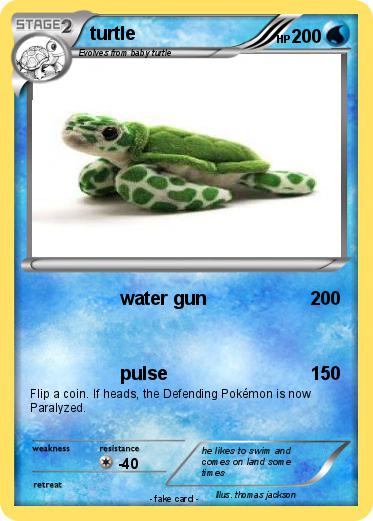 Pokemon turtle