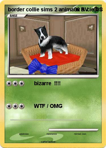 Pokemon border collie sims 2 animaux & cie DS