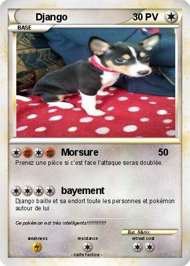 Pokemon Django
