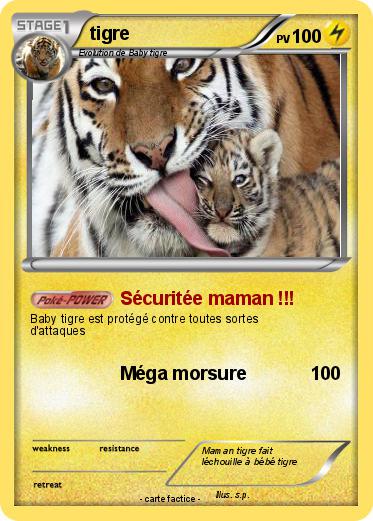 Pokemon tigre