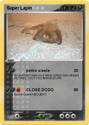 Pokemon Super Lapin