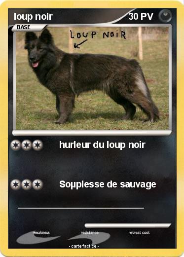 Pokemon loup noir
