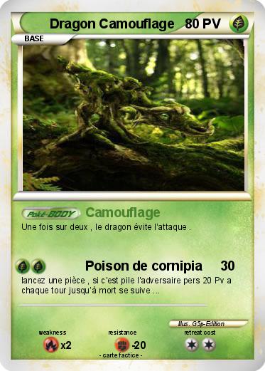 Pokemon Dragon Camouflage