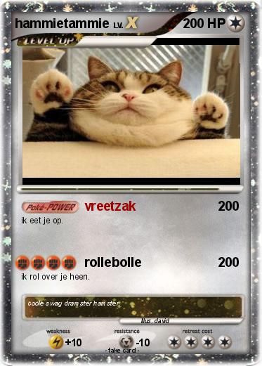 Pokemon hammietammie