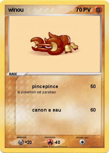 Pokemon winou