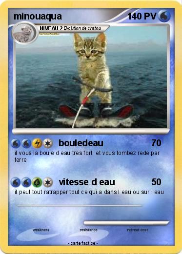 Pokemon minouaqua
