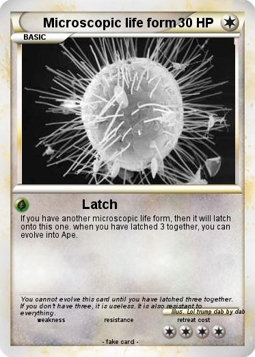 Pokemon Microscopic life form