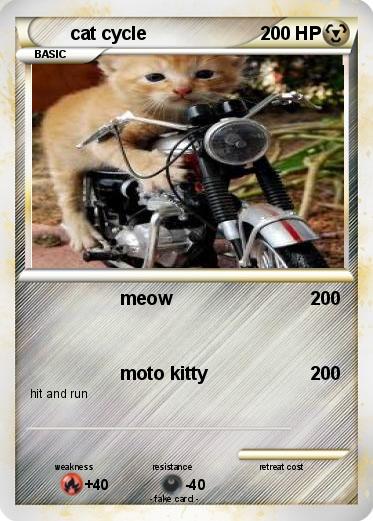 Pokemon cat cycle