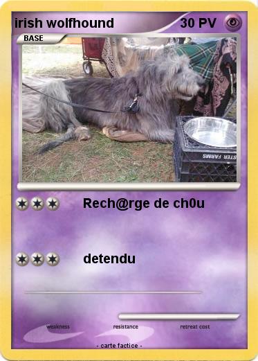 Pokemon irish wolfhound