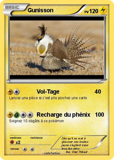 Pokemon Gunisson