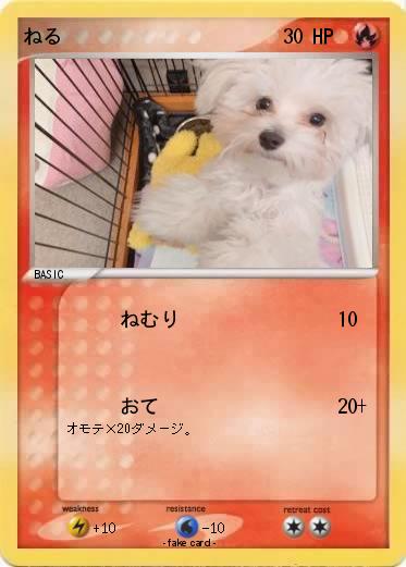 Pokemon ねる