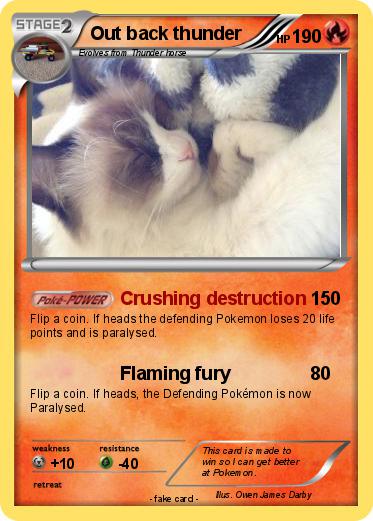 Pokemon Out back thunder