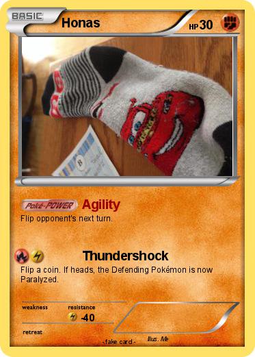 Pokemon Honas