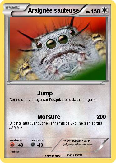 Pokemon Araignée sauteuse