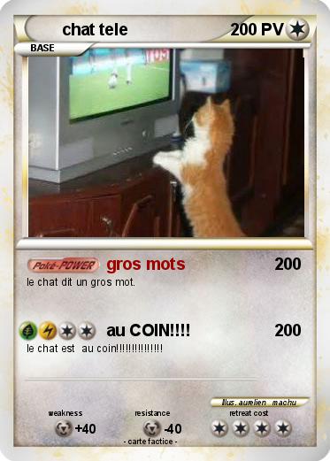Pokemon chat tele