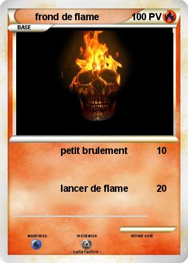 Pokemon frond de flame
