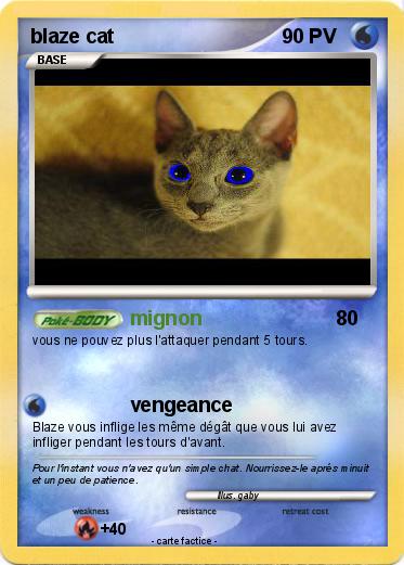 Pokemon blaze cat