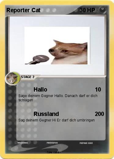 Pokemon Reporter Cat