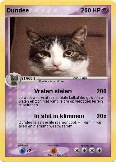 Pokemon Dundee
