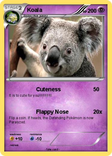 Pokemon Koala
